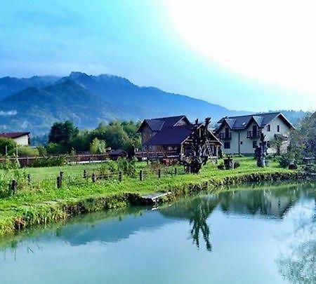 Hasienda Rîşnov Buitenkant foto