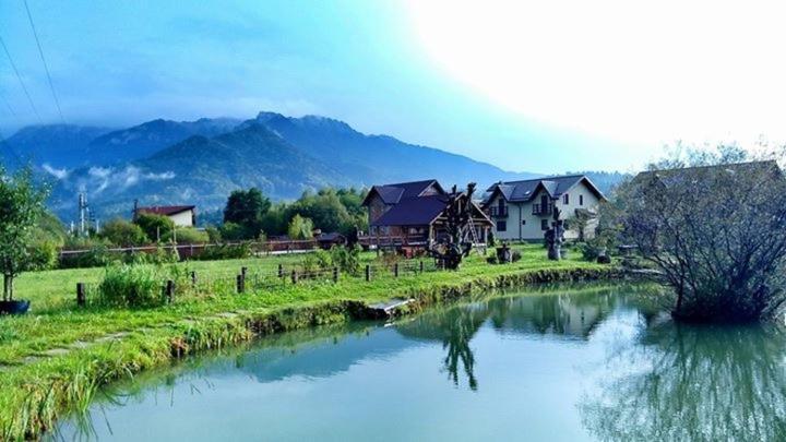 Hasienda Rîşnov Buitenkant foto